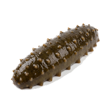 해삼
